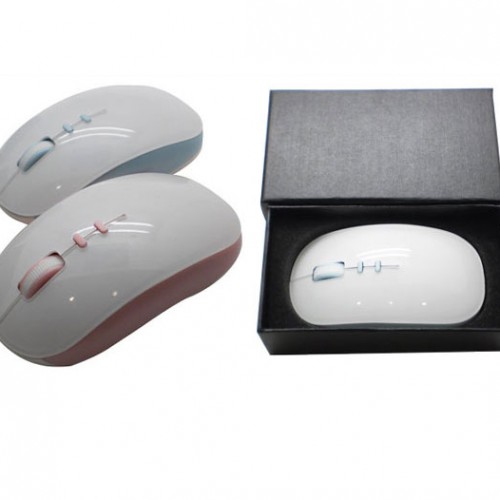 Wireless Mouse (WM01)