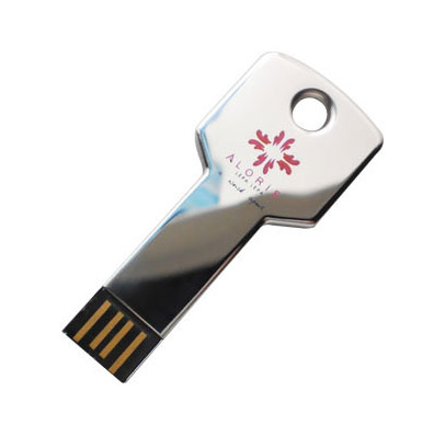 key shape pen drive sw5510