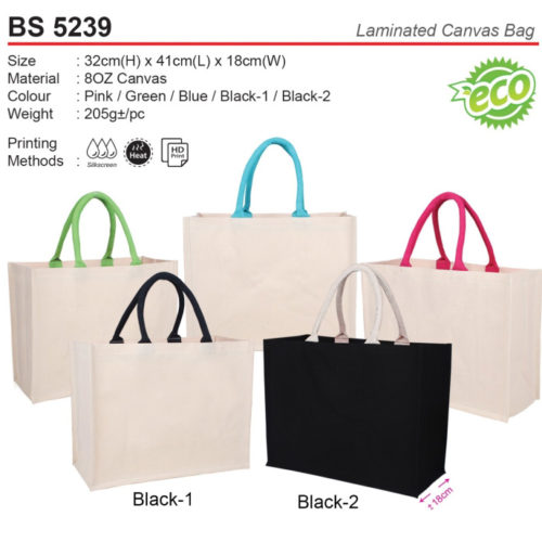 Laminated Canvas Bag (BS5239)