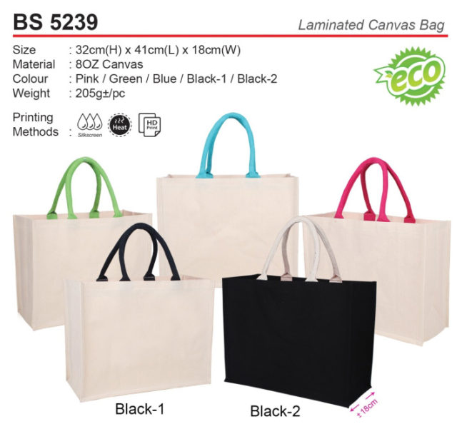 Laminated Canvas Bag (BS5239)