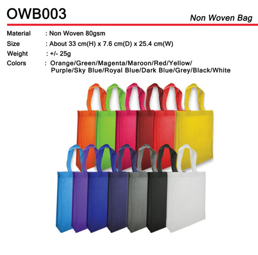 Budget A4 Non woven bag (OWB003)