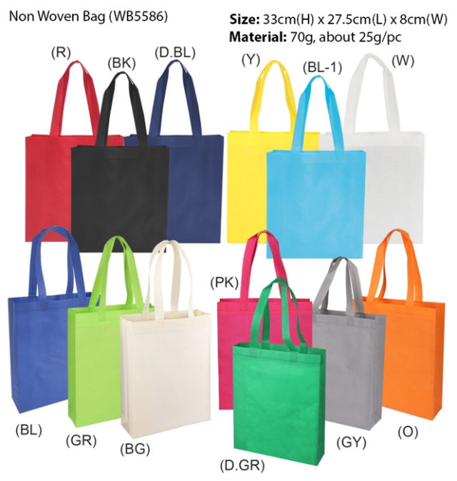 Budget A4 Non woven bag (WB5586