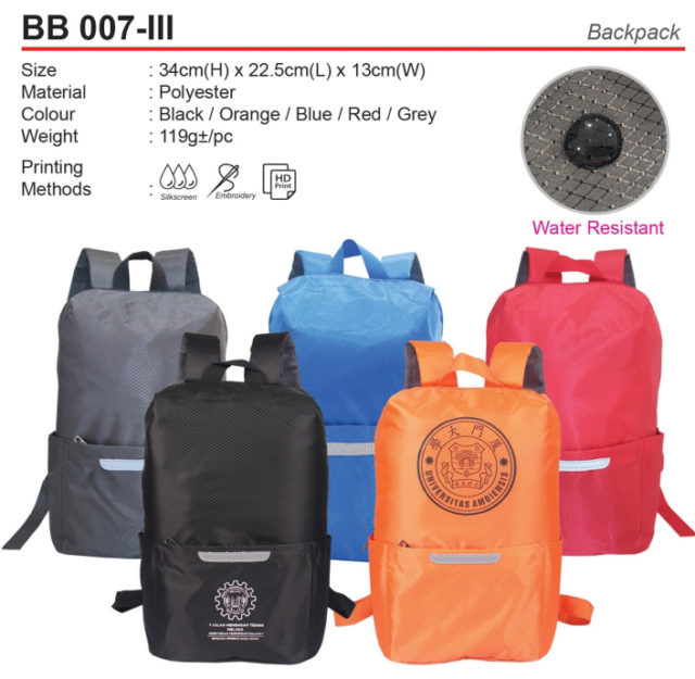 Budget Backpack (BB007-III)