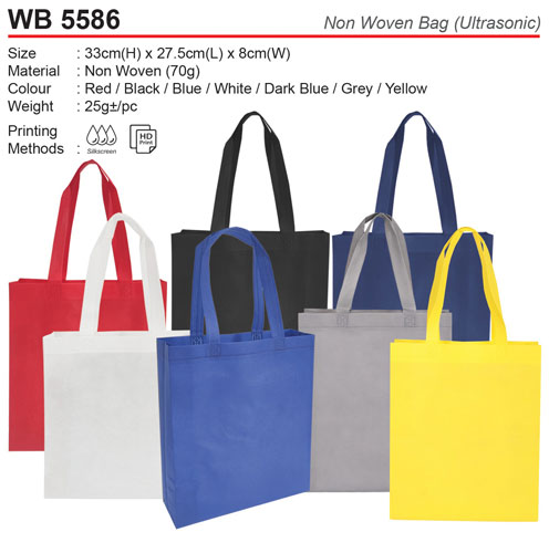 Budget A4 Non woven bag (WB5586)