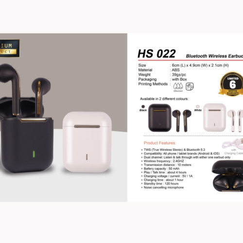 Wireless Earbuds (HS022)