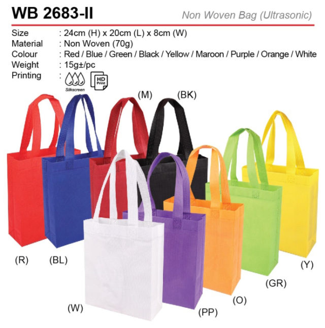 Small Non Woven Bag (WB2683-II)